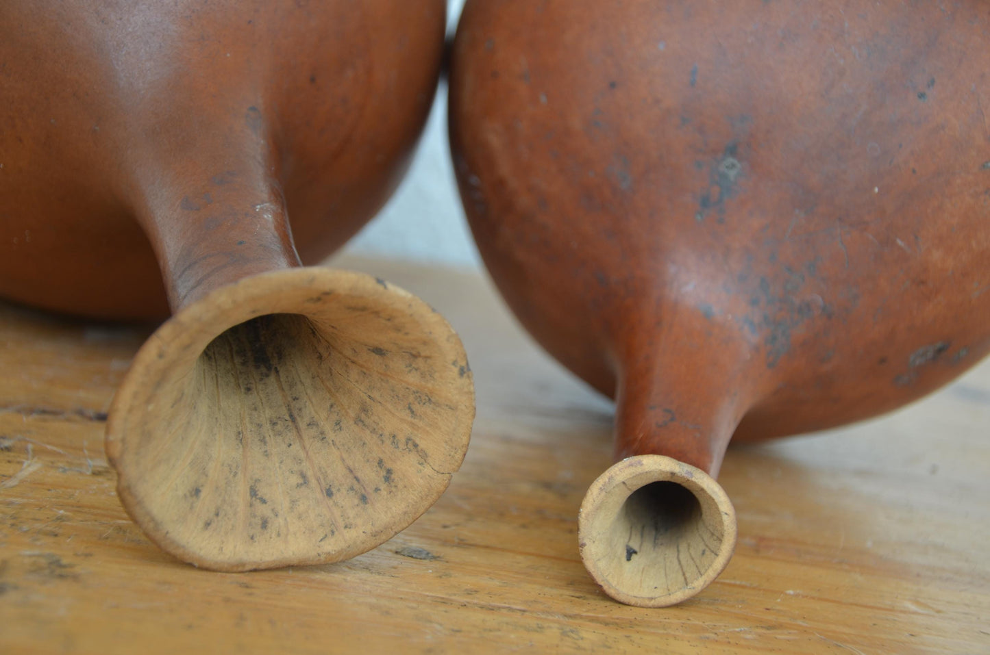 Handcrafted African Calabash Gourd Set | Traditional Natural Art Accent