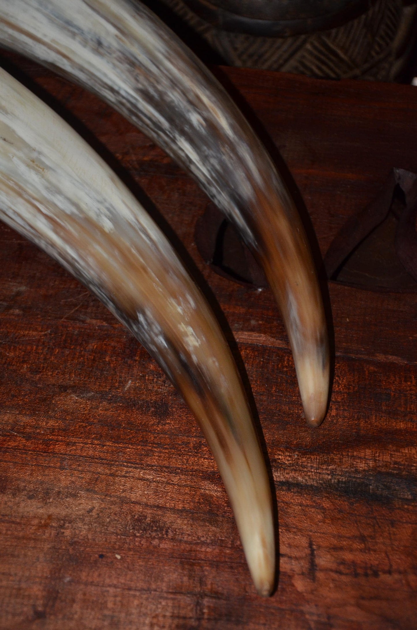 Large Ankole Cow Horns | Authentic East African Decor | Natural Statement Art