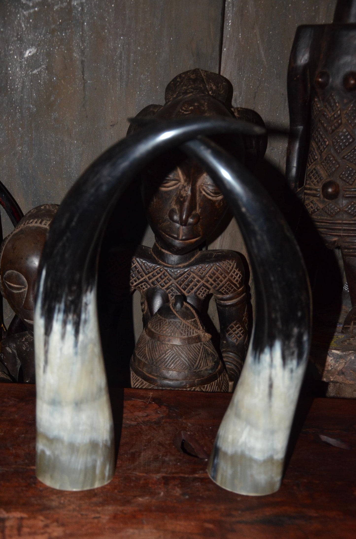 Sculptural Ankole Cow Horns | Authentic East African Decor | Natural Luxury Art
