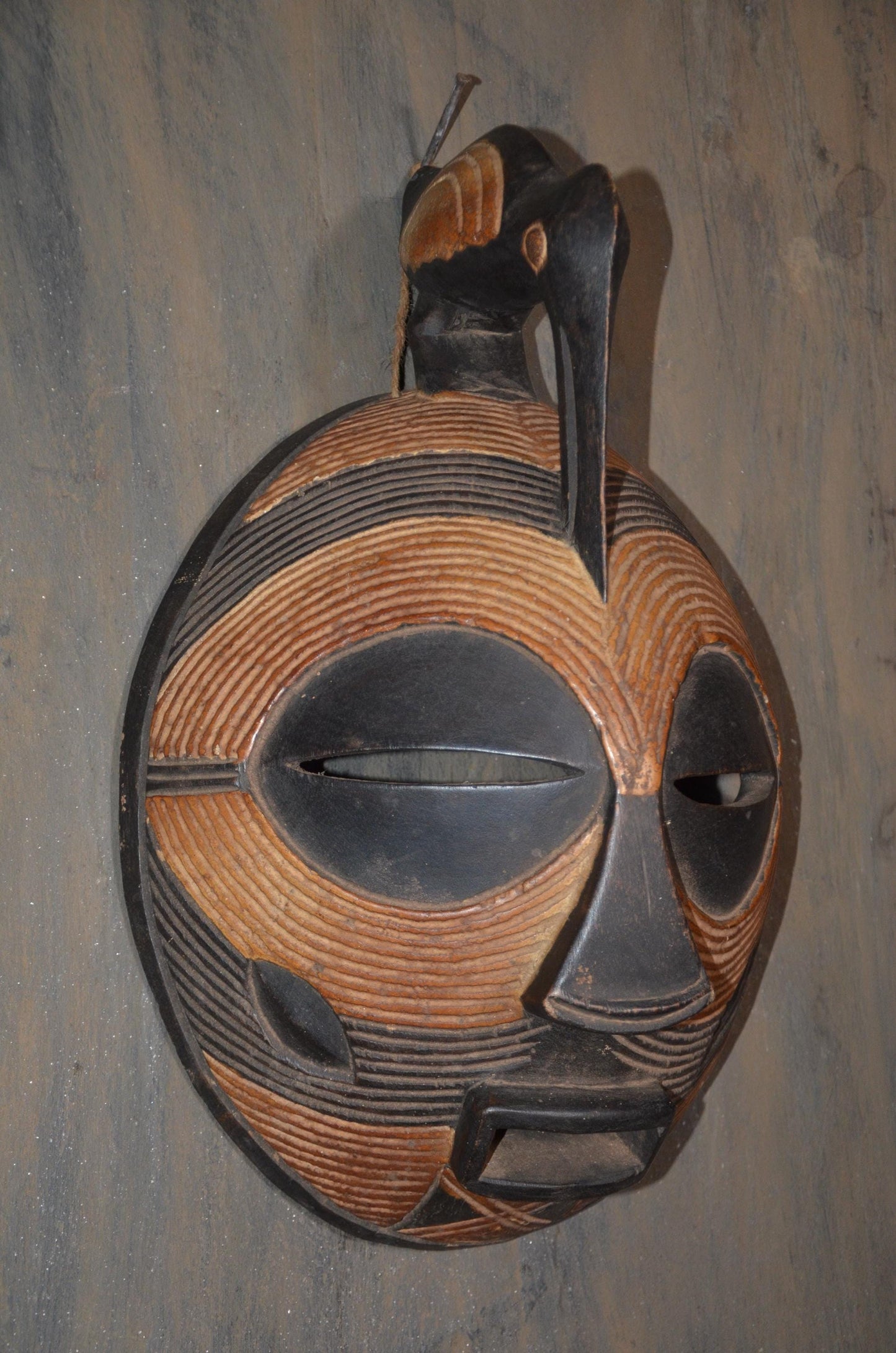 Authentic Luba "Kifwebe" Bird Mask | Congolese Tribal Art