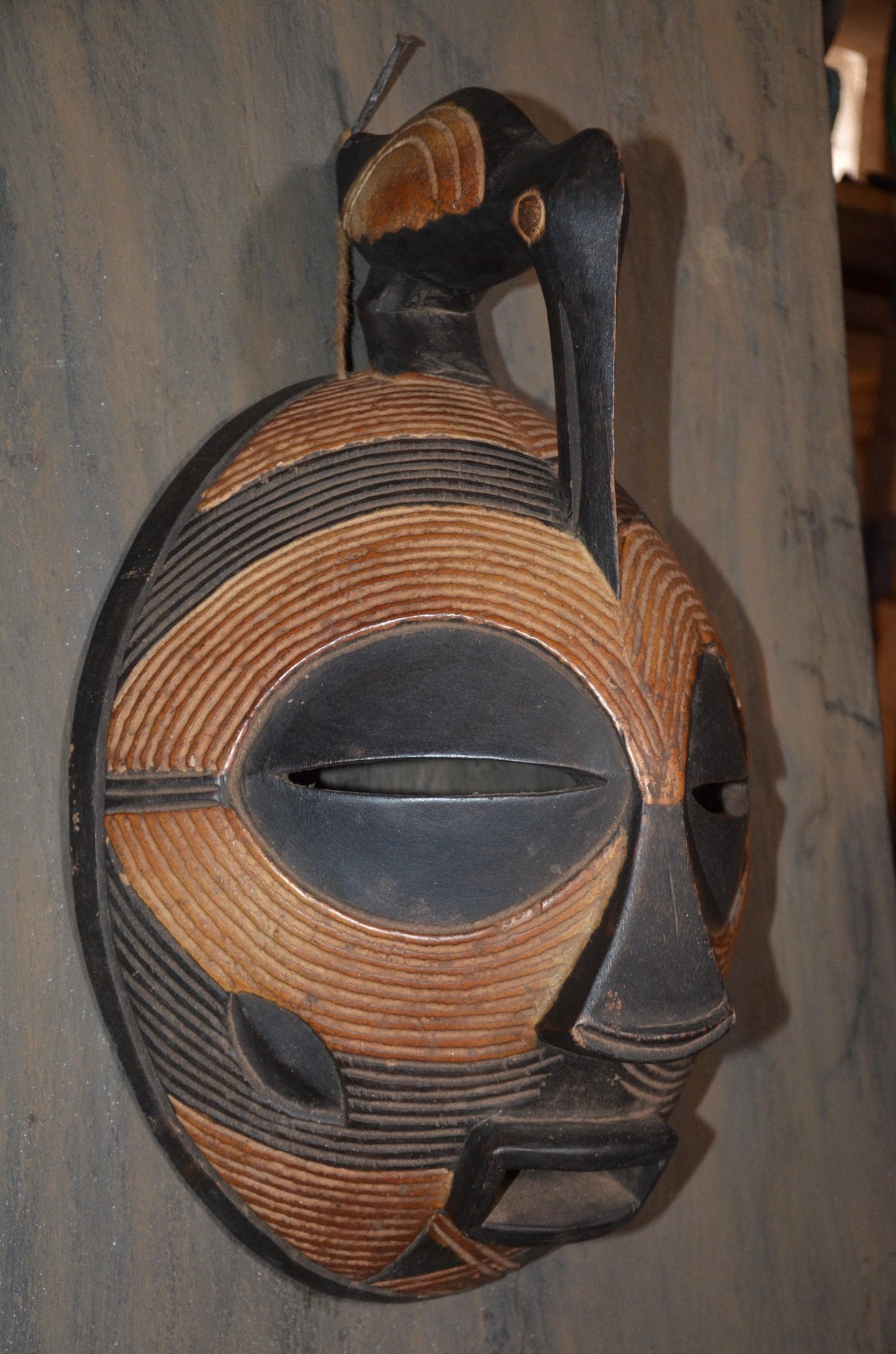 Authentic Luba "Kifwebe" Bird Mask | Congolese Tribal Art