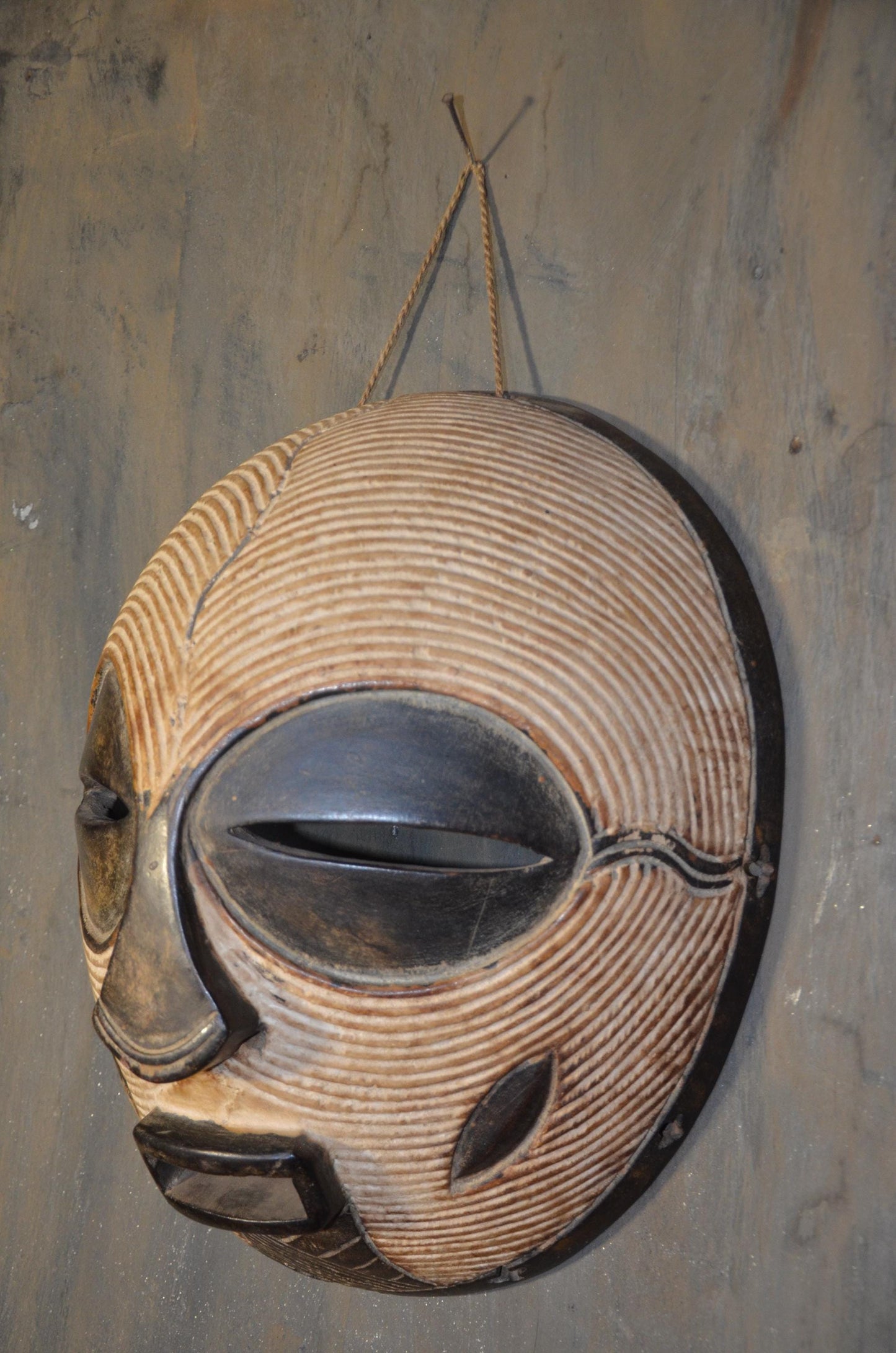 Authentic Female Songye Kifwebe Mask - 16" Hand-Carved Wood Striated Ritual Mask, Traditional Kaolin Infill, High-End Congo Tribal Art