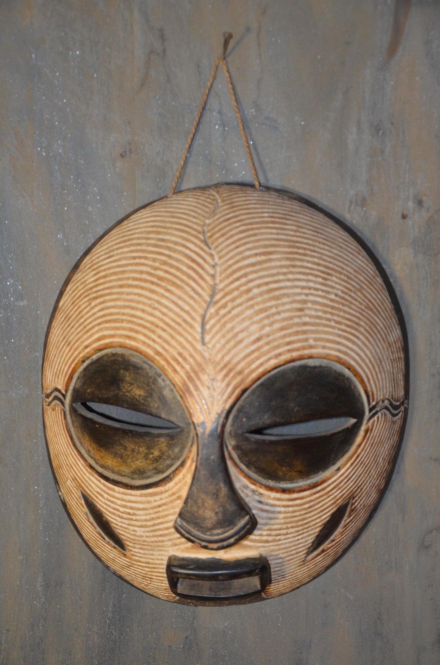 Authentic Female Songye Kifwebe Mask - 16" Hand-Carved Wood Striated Ritual Mask, Traditional Kaolin Infill, High-End Congo Tribal Art