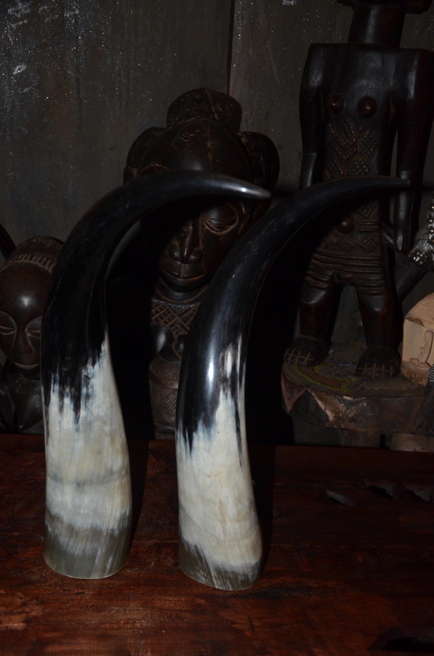 Sculptural Ankole Cow Horns | Authentic East African Decor | Natural Luxury Art