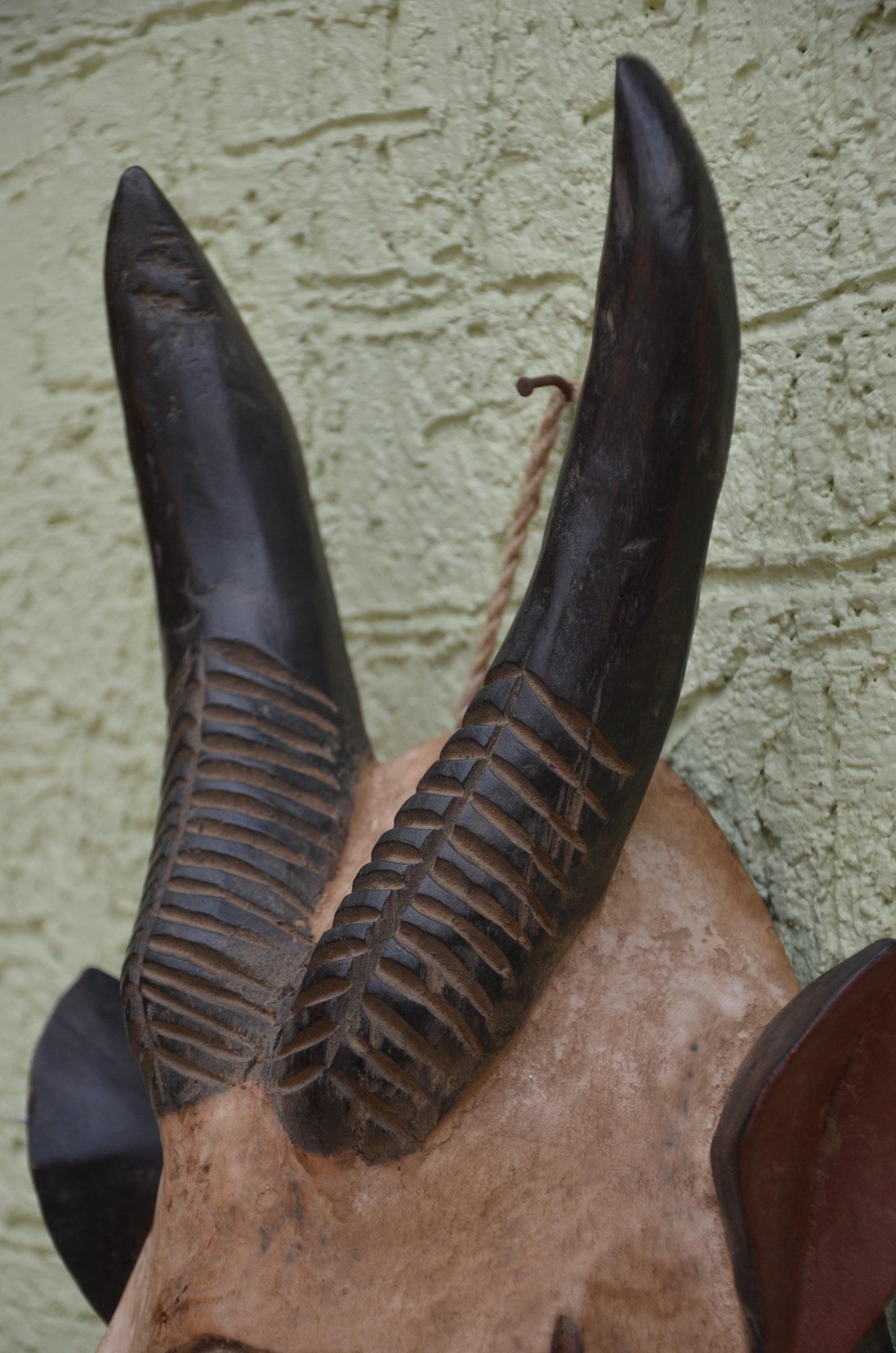 Guro Antelope Mask | African Wooden Tribal Art