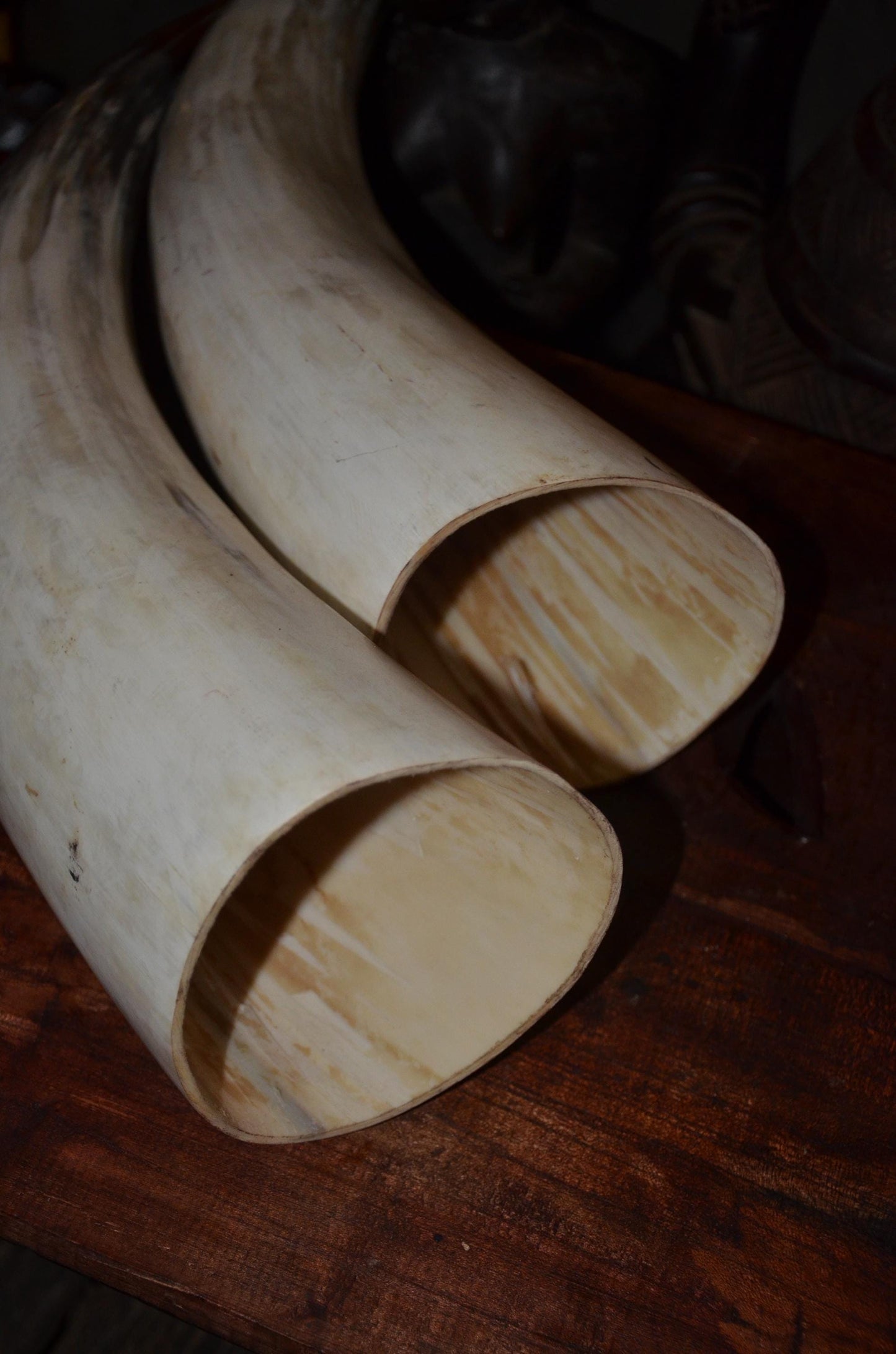Large Ankole Cow Horns | Authentic East African Decor | Natural Statement Art