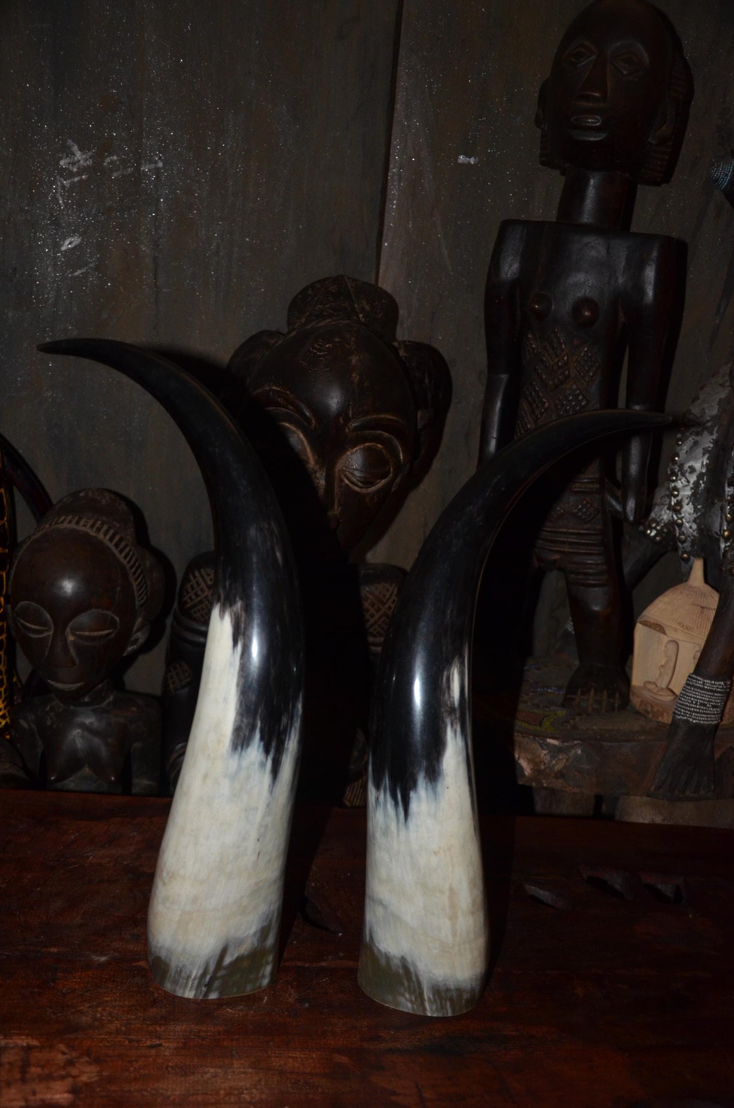 Sculptural Ankole Cow Horns | Authentic East African Decor | Natural Luxury Art