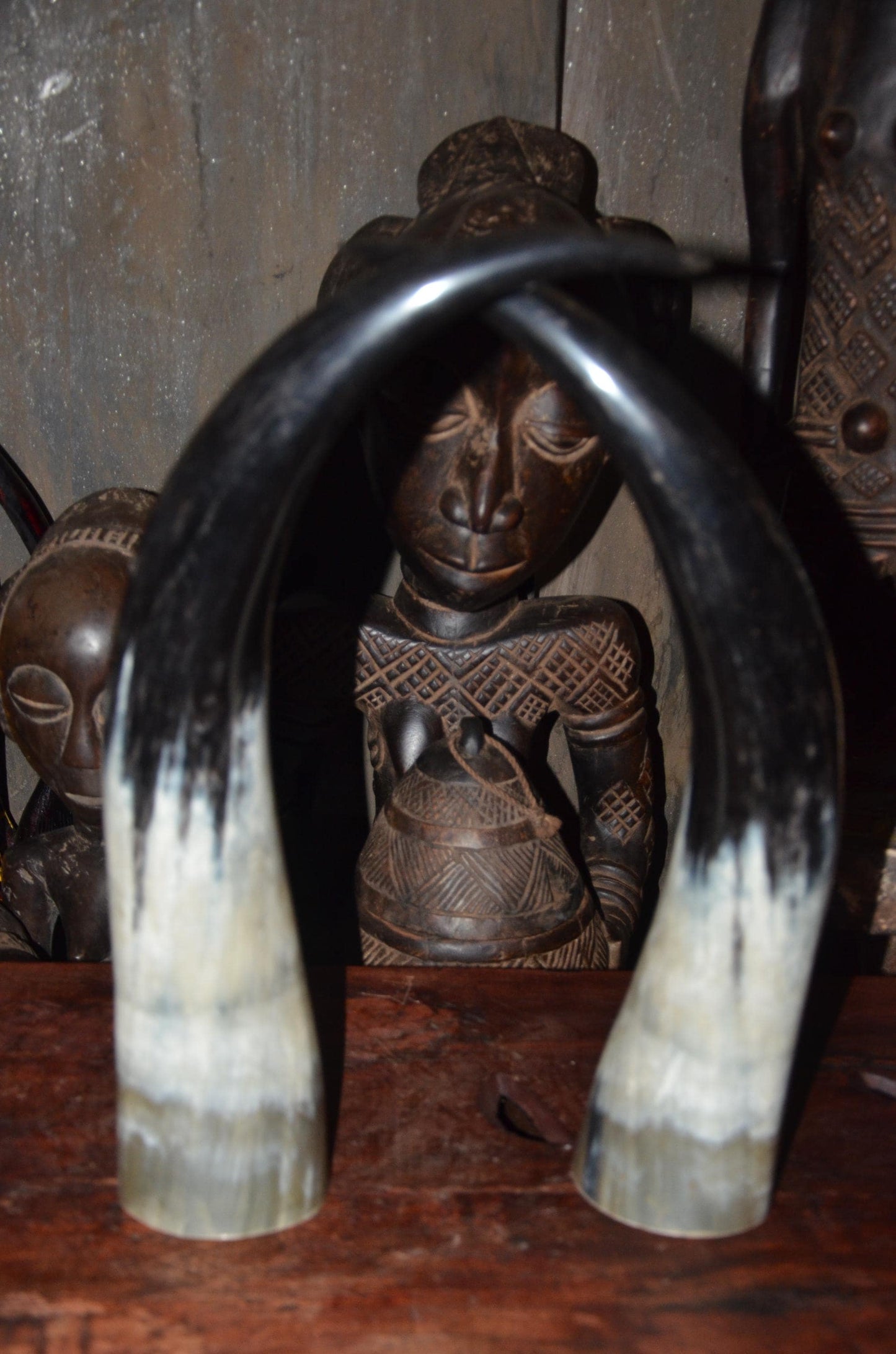 Sculptural Ankole Cow Horns | Authentic East African Decor | Natural Luxury Art