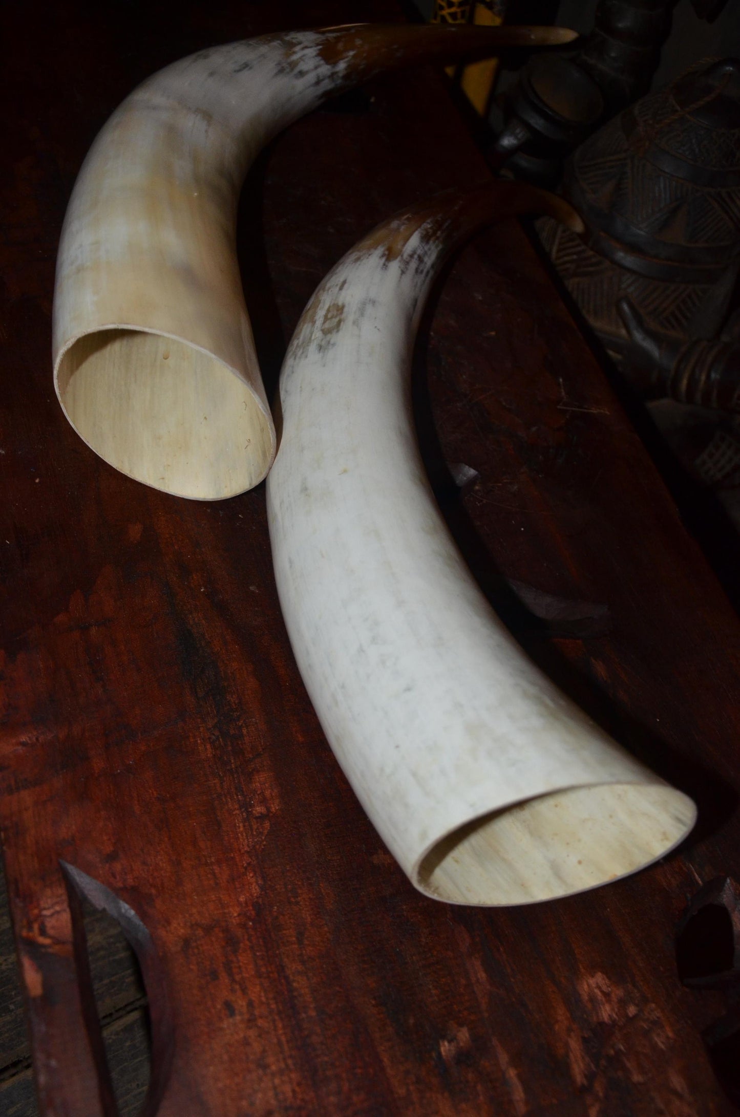 Authentic Ankole Cow Horns | East African Natural Decor | Polished Tribal Art