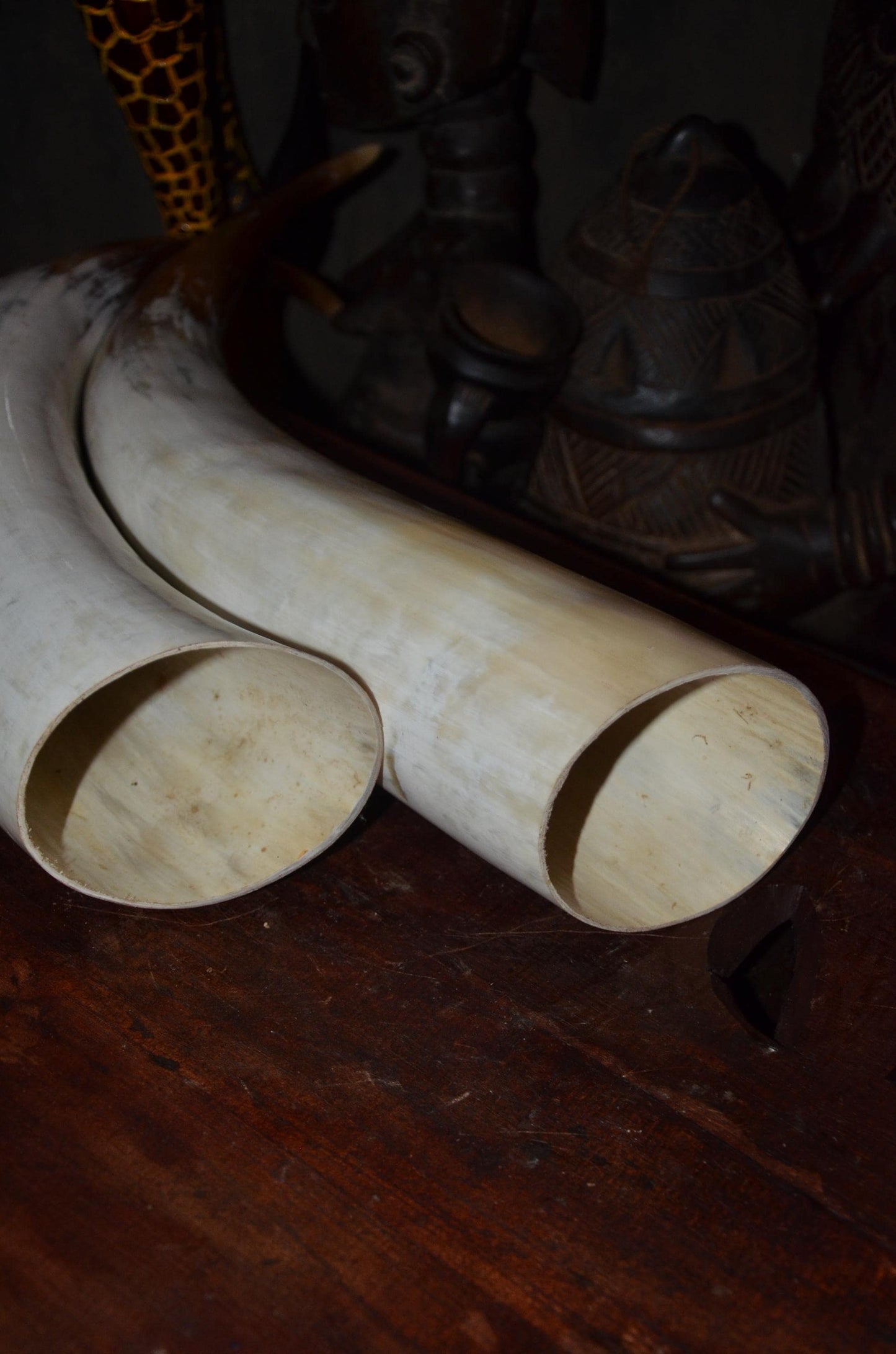 Authentic Ankole Cow Horns | East African Natural Decor | Polished Tribal Art