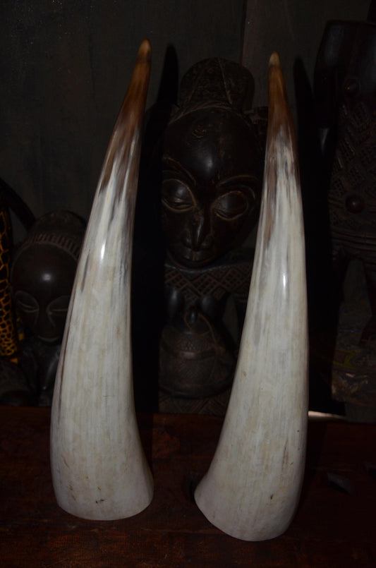 Large Ankole Cow Horns | Authentic East African Decor | Natural Statement Art