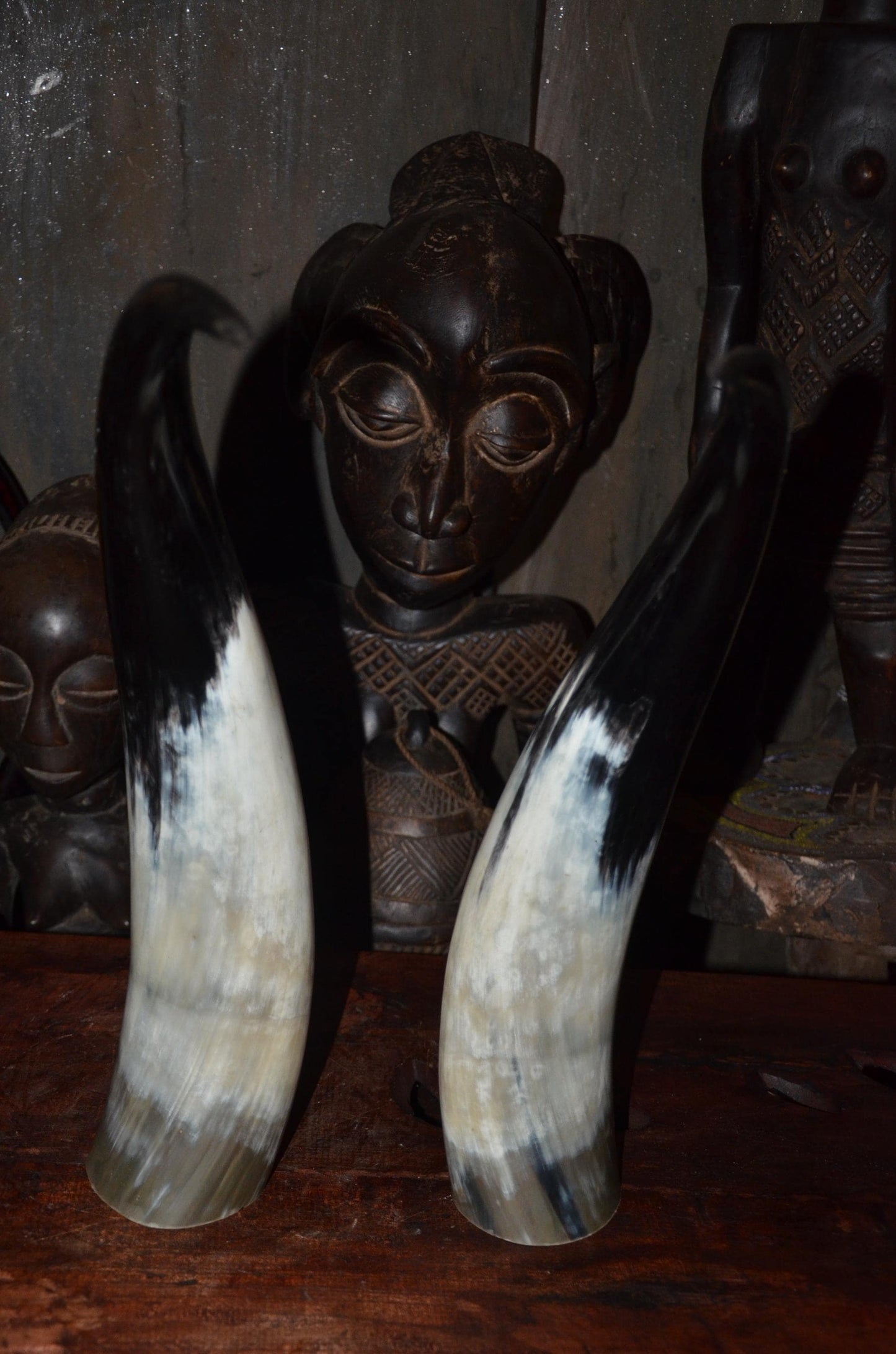 Sculptural Ankole Cow Horns | Authentic East African Decor | Natural Luxury Art