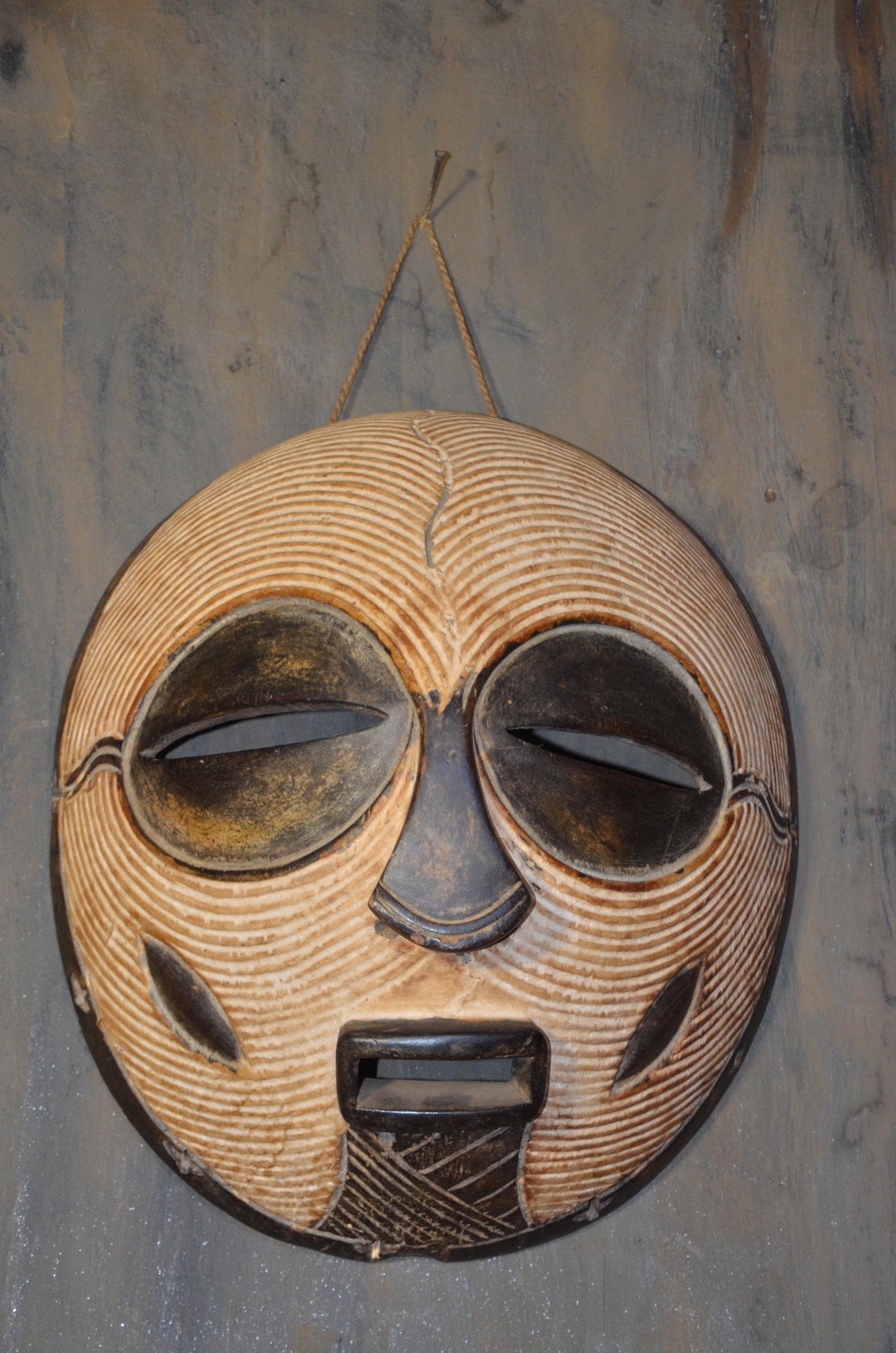 Authentic Female Songye Kifwebe Mask - 16" Hand-Carved Wood Striated Ritual Mask, Traditional Kaolin Infill, High-End Congo Tribal Art