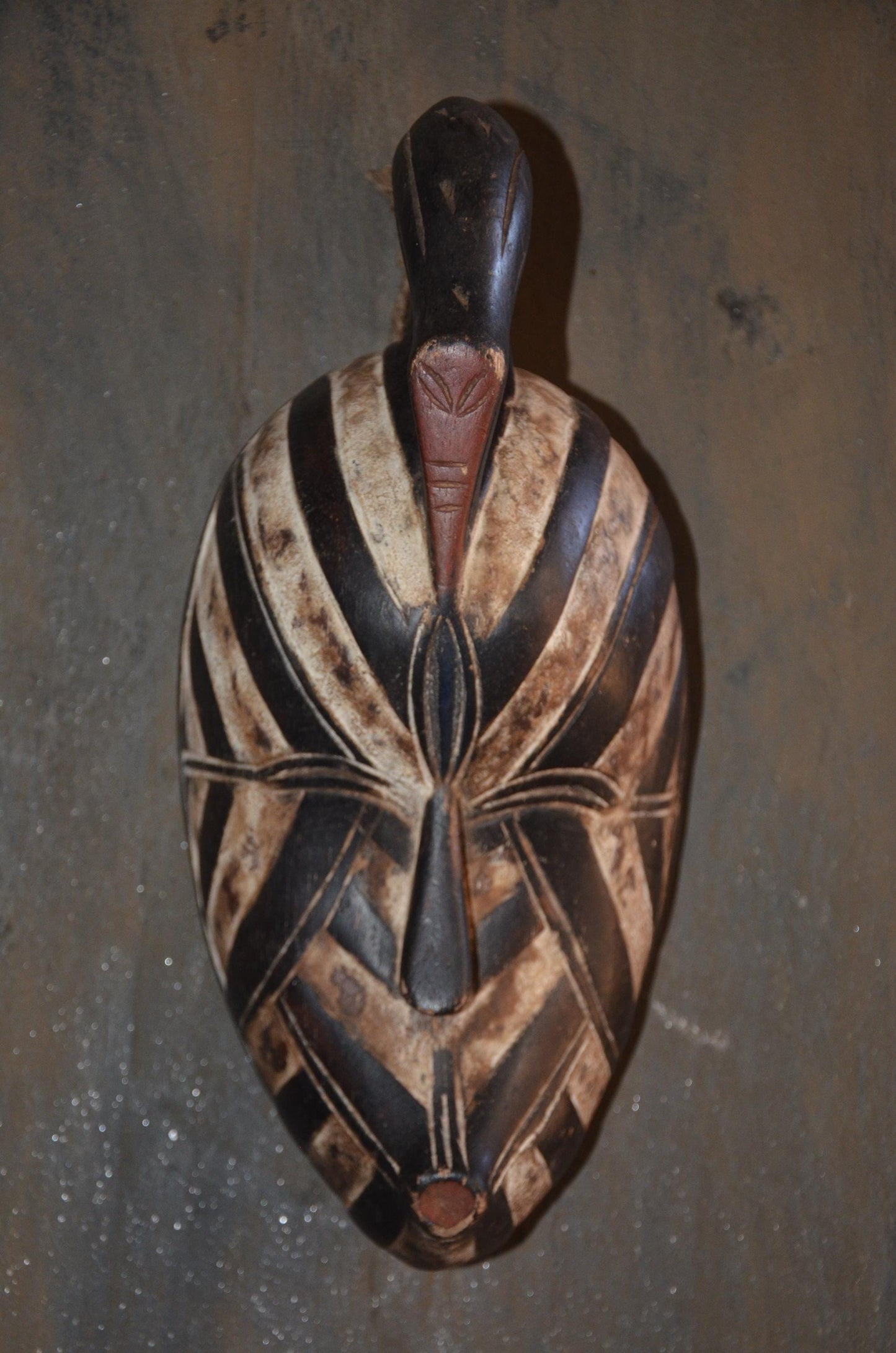 Songye Kifwebe Bird Mask – 13" Hand-Carved Wood Congo Art – Wall Decor