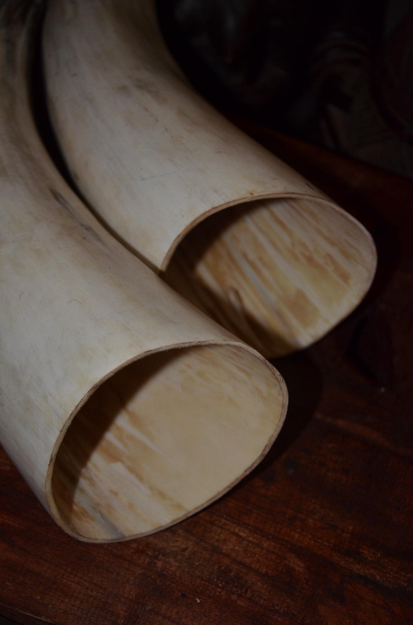 Large Ankole Cow Horns | Authentic East African Decor | Natural Statement Art