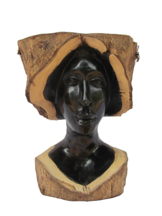 Une belle et superbe sculpture en ébène bicolore de la RDC.