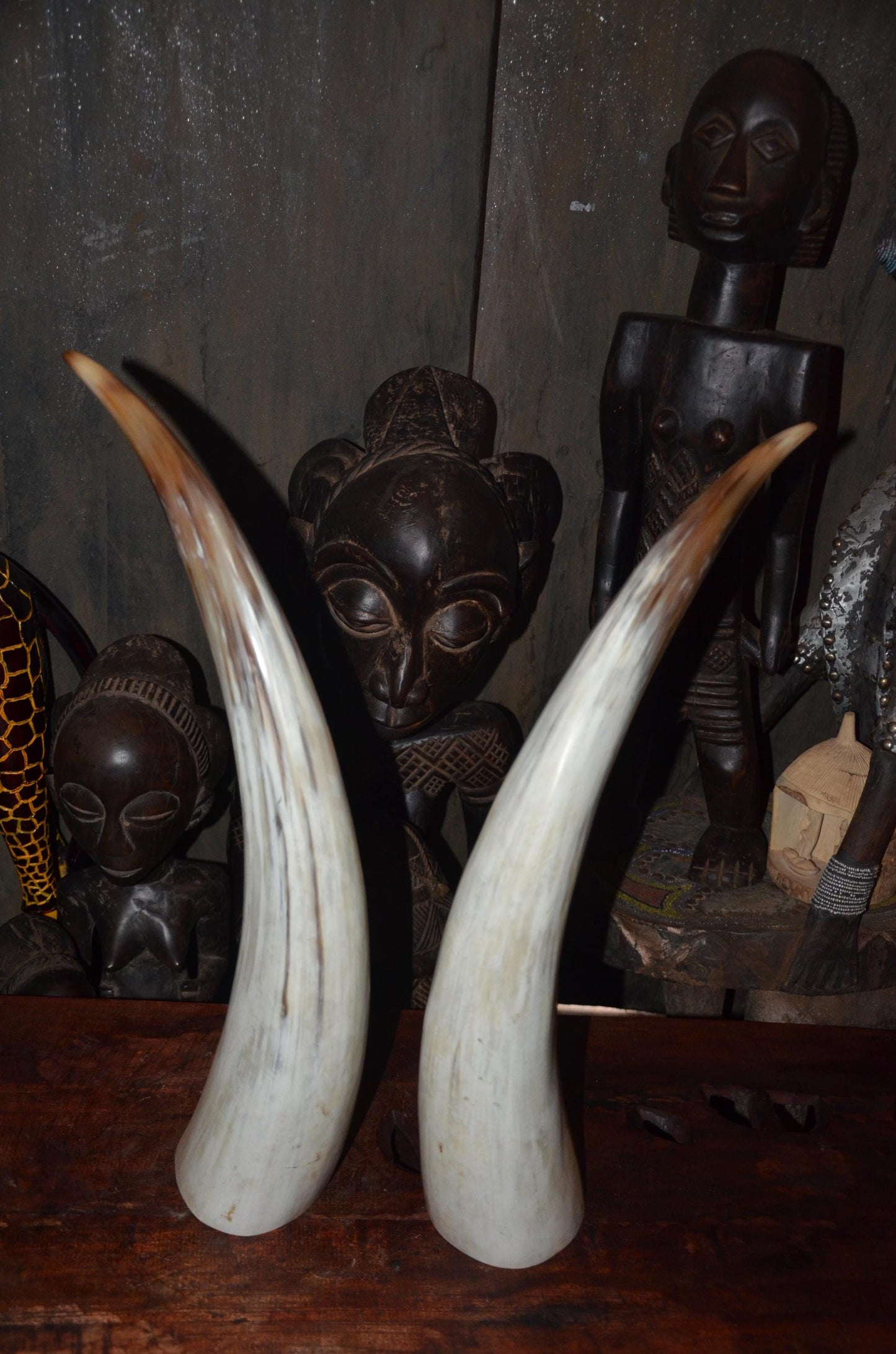 Large Ankole Cow Horns | Authentic East African Decor | Natural Statement Art