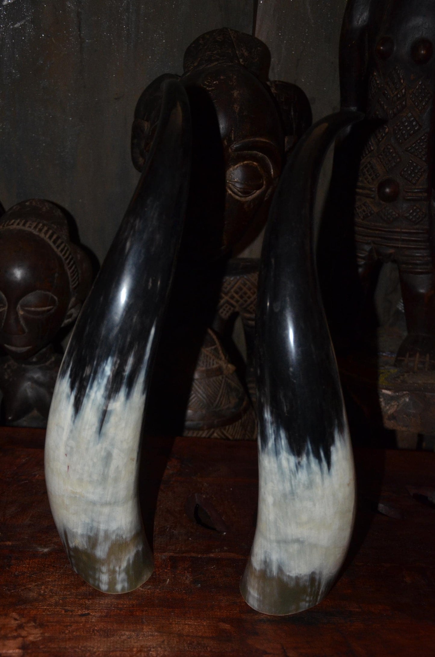Sculptural Ankole Cow Horns | Authentic East African Decor | Natural Luxury Art