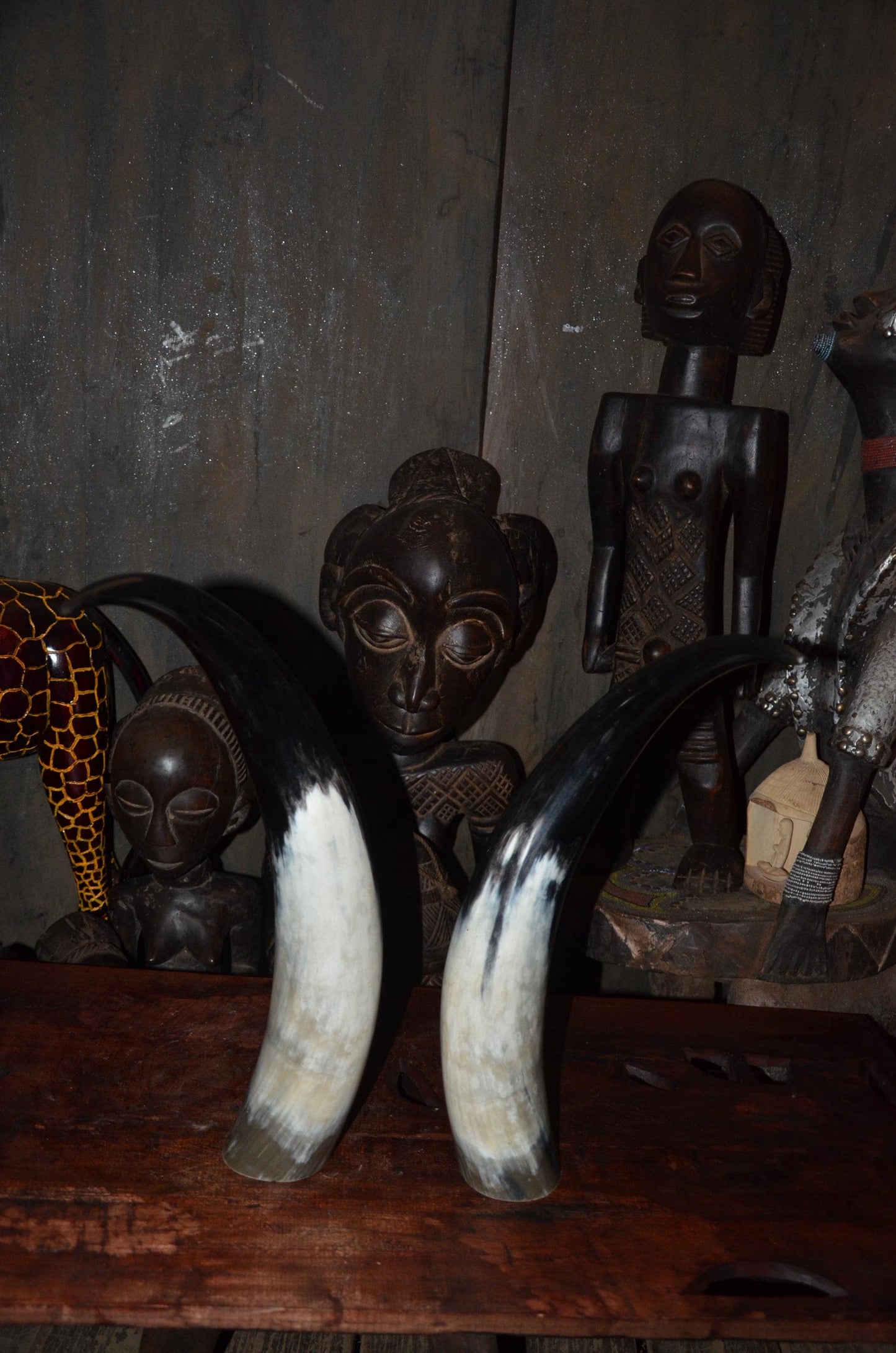Sculptural Ankole Cow Horns | Authentic East African Decor | Natural Luxury Art