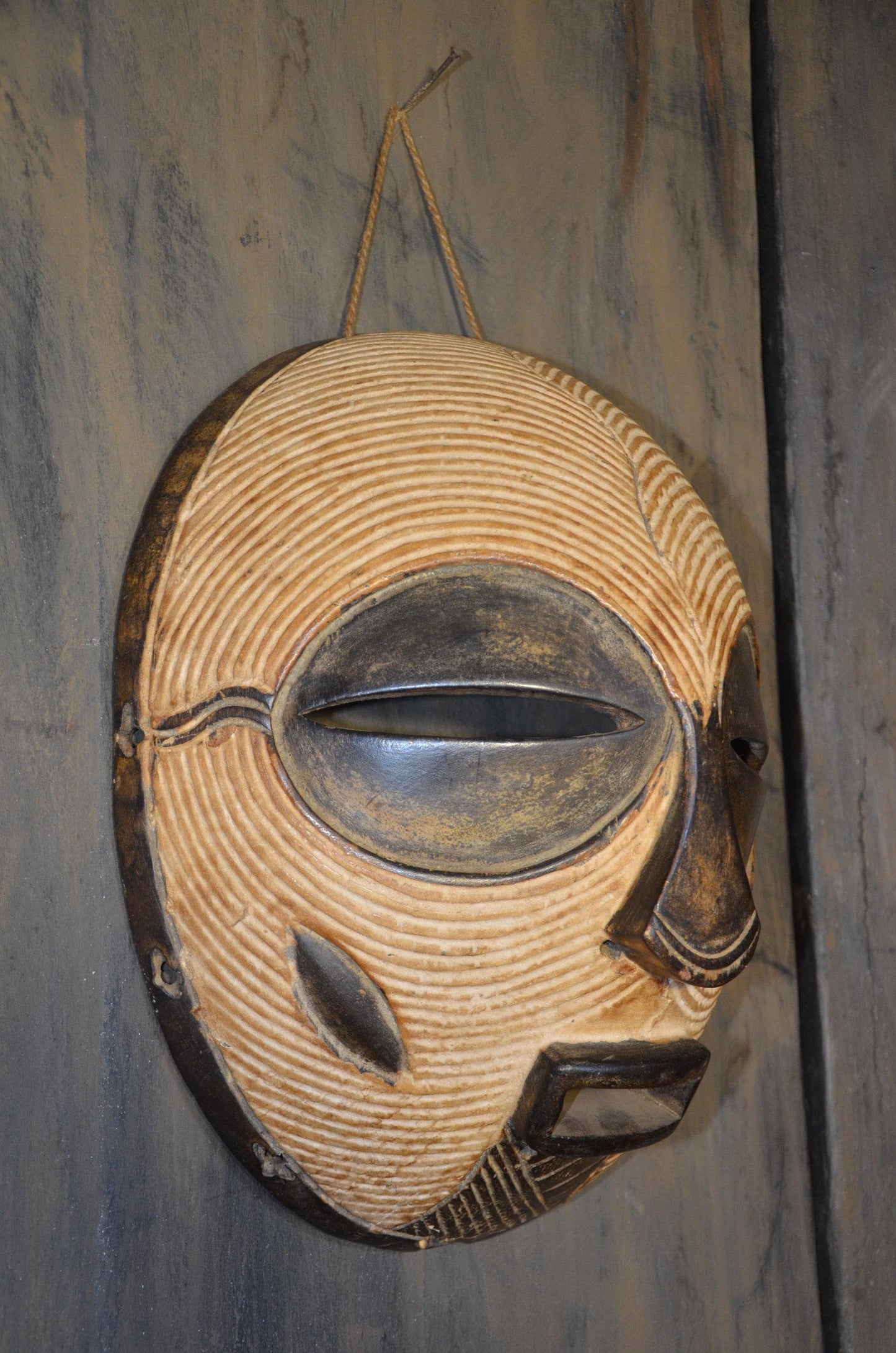Authentic Female Songye Kifwebe Mask - 16" Hand-Carved Wood Striated Ritual Mask, Traditional Kaolin Infill, High-End Congo Tribal Art