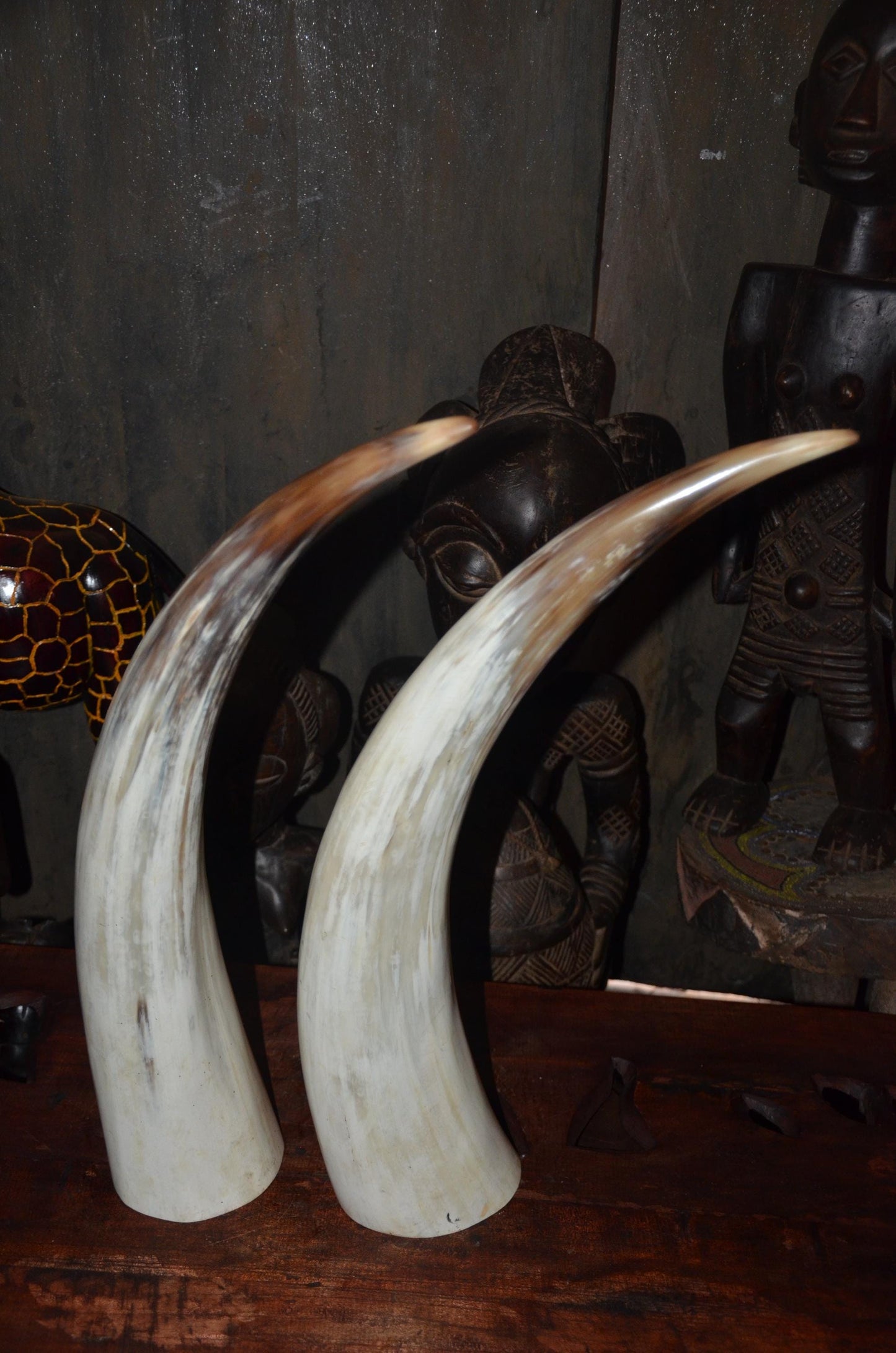 Large Ankole Cow Horns | Authentic East African Decor | Natural Statement Art