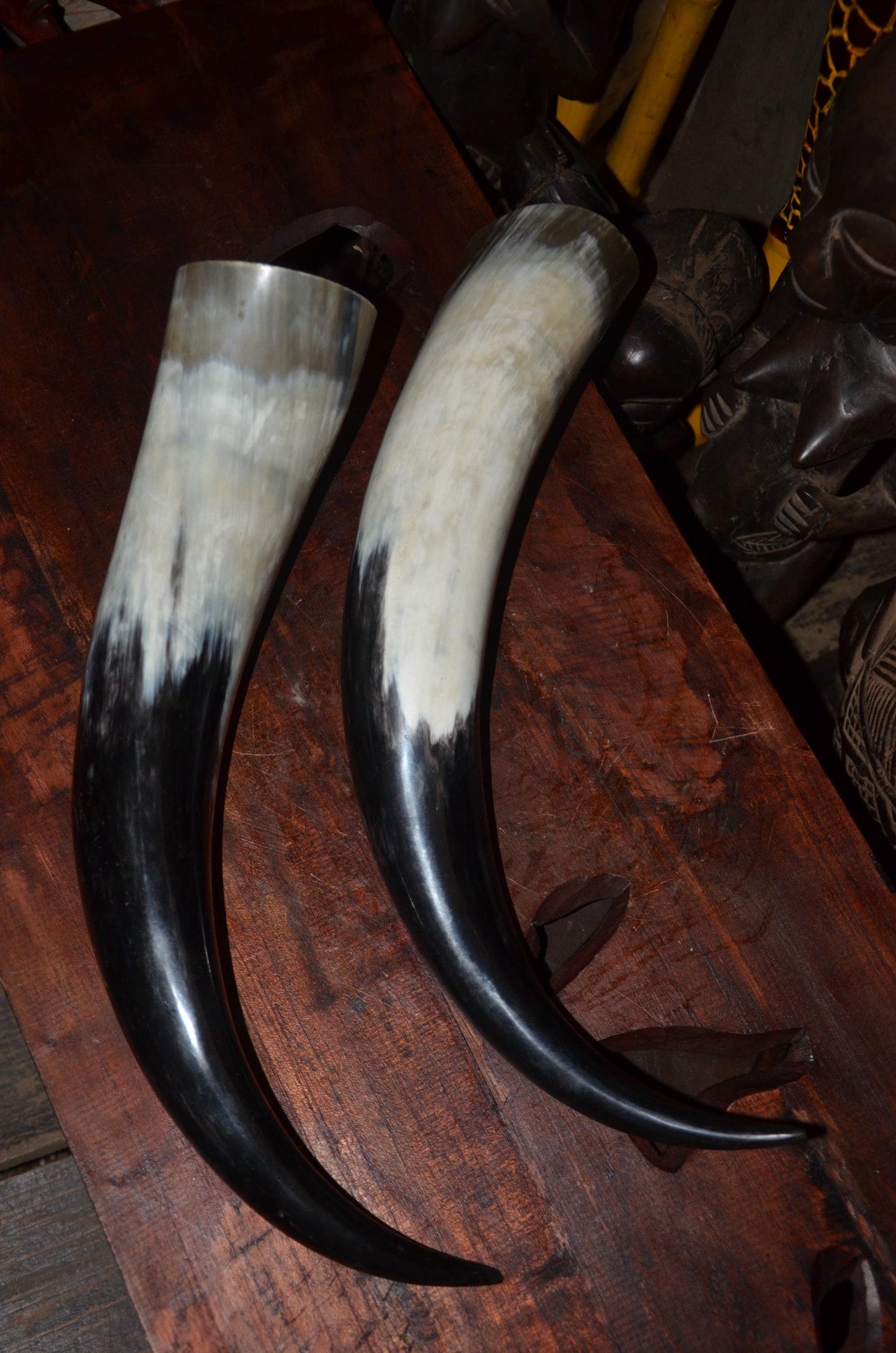 Sculptural Ankole Cow Horns | Authentic East African Decor | Natural Luxury Art