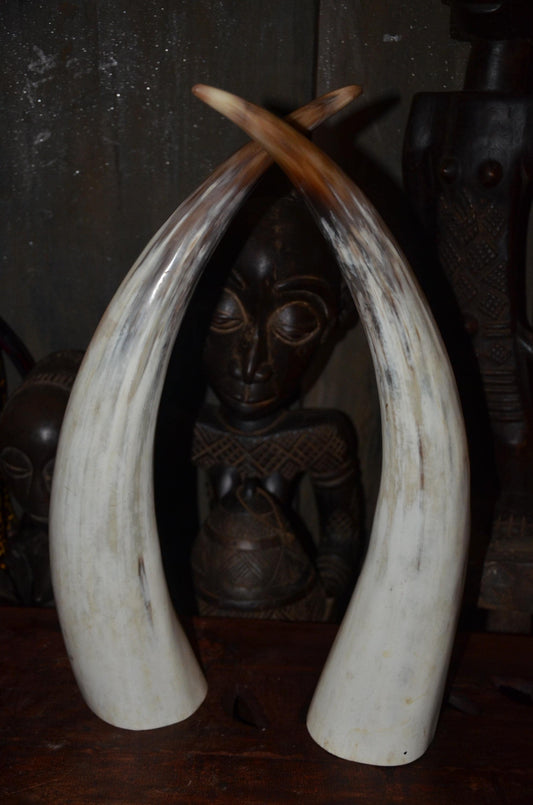 Large Ankole Cow Horns | Authentic East African Decor | Natural Statement Art
