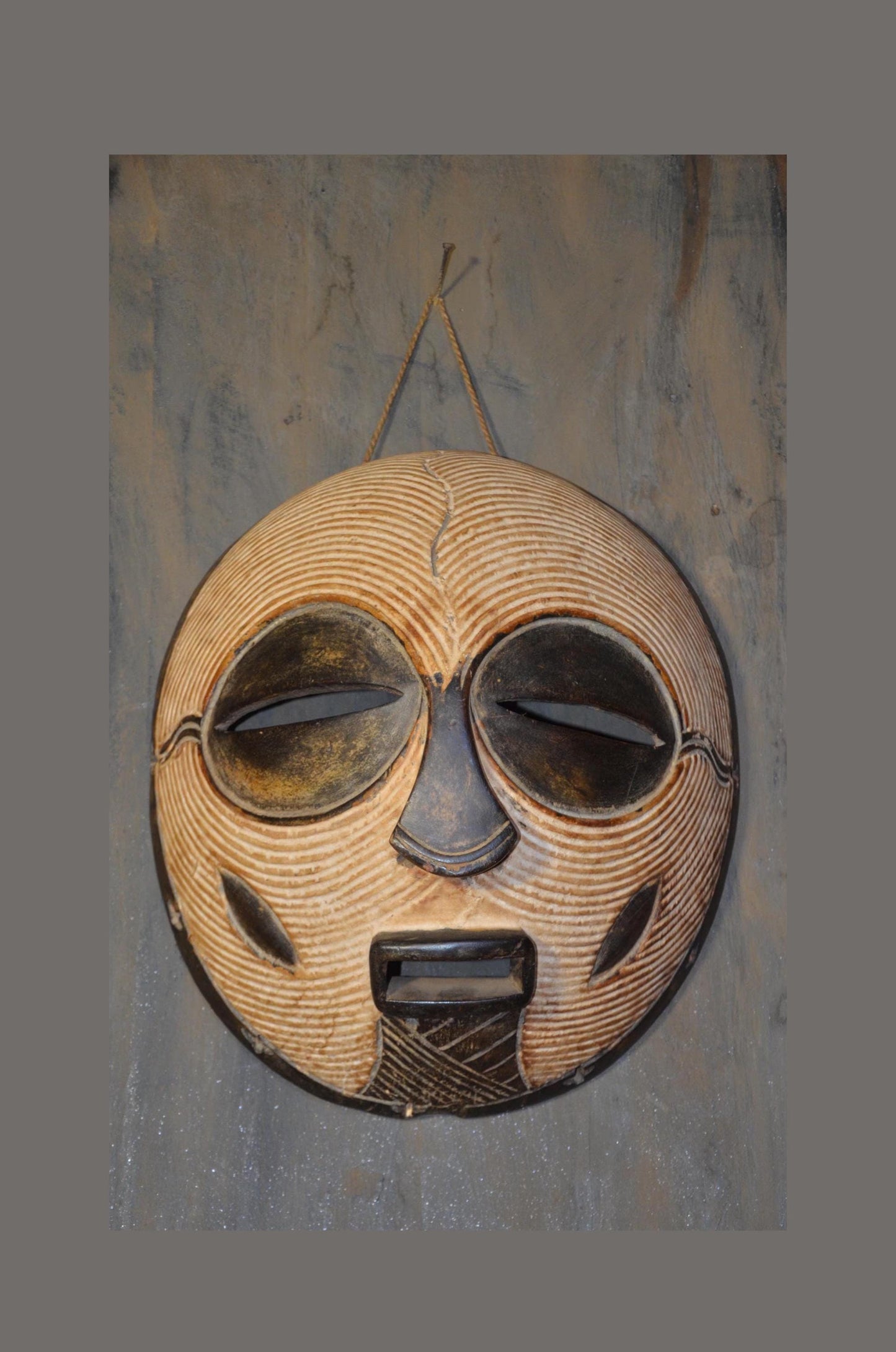 Authentic Female Songye Kifwebe Mask - 16" Hand-Carved Wood Striated Ritual Mask, Traditional Kaolin Infill, High-End Congo Tribal Art