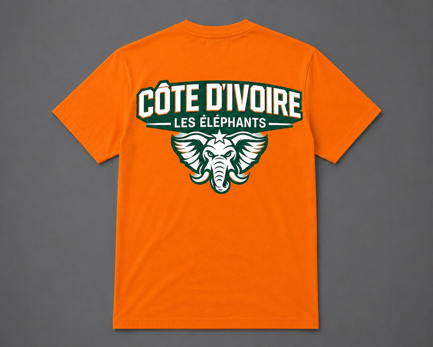 Ivory Coast Football Shirt, Les Elephants Fan Shirt, Côte d'Ivoire Soccer Tee, African Football Supporter Shirt