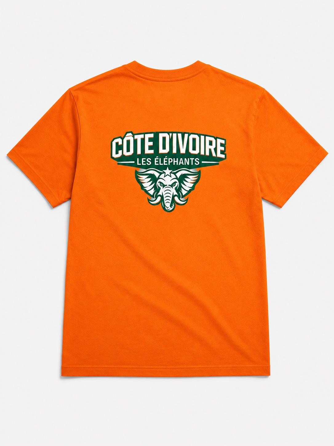 Ivory Coast Football Shirt, Les Elephants Fan Shirt, Côte d'Ivoire Soccer Tee, African Football Supporter Shirt