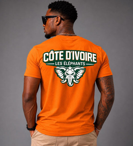 Ivory Coast Football Shirt, Les Elephants Fan Shirt, Côte d'Ivoire Soccer Tee, African Football Supporter Shirt